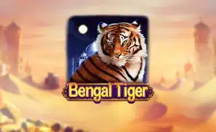 DRG_Bengal Tiger_1666260270