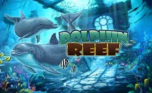 K9_DolphinReef_1648660392